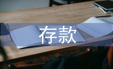存款組織工作經(jīng)驗(yàn)總結(jié)