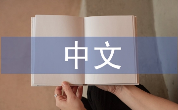 中文專業(yè)論文