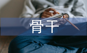 骨干教師培訓(xùn)研修總結(jié)