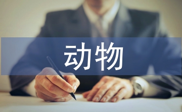 動物醫(yī)學論文