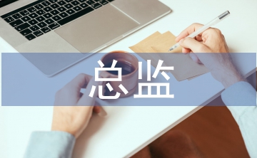 總監(jiān)試用期工作總結