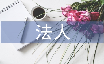 法人年度報(bào)告書