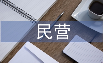 民營企業(yè)財務(wù)戰(zhàn)略管理問題與對策