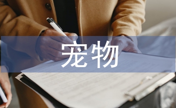 寵物助理總結(jié)