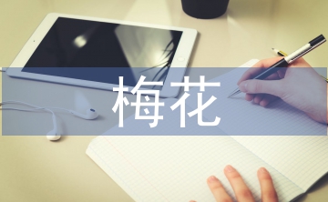 梅花魂教案