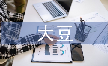 大豆?fàn)I銷(xiāo)論文