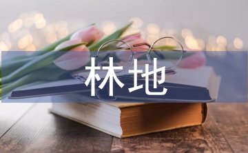 林地承包合同