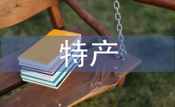 電子商務(wù)特產(chǎn)銷售系統(tǒng)技術(shù)分析