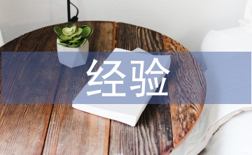 經(jīng)濟責(zé)任審計經(jīng)驗