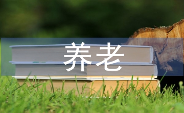 養(yǎng)老產(chǎn)業(yè)可行性報告