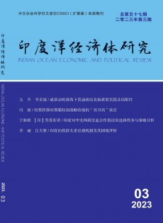 印度洋經(jīng)濟(jì)體研究