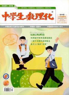 中學生數(shù)理化·八年級數(shù)學·配合人教社教材雜志
