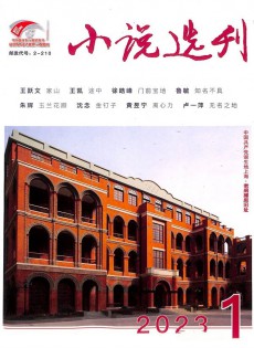 小說選刊雜志