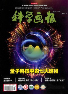 科學(xué)畫報(bào)雜志