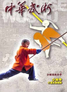 中華武術(shù)