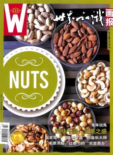 世界知識(shí)畫(huà)報(bào)