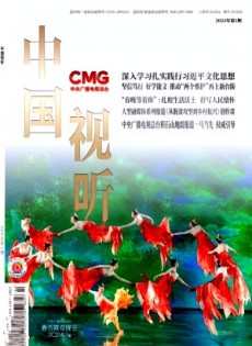 中國(guó)視聽(tīng)雜志