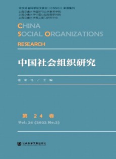 中國社會組織研究